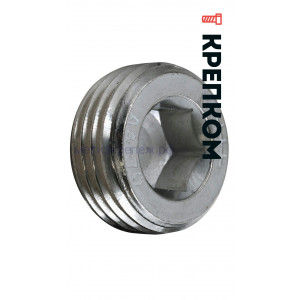 Пробка (заглушка) с дюймовой резьбой R 1/4" DIN 906, нержавеющая сталь А4