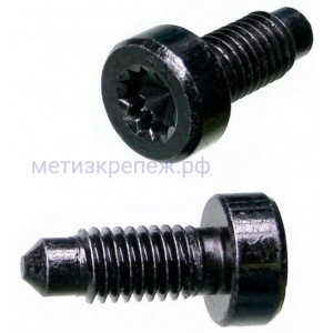 Винт М8х1,25х20 мм с цилиндрической головкой K2251