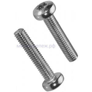 Винт полусфера М6х16 TX30 DIN 7985, нержавеющая сталь А2